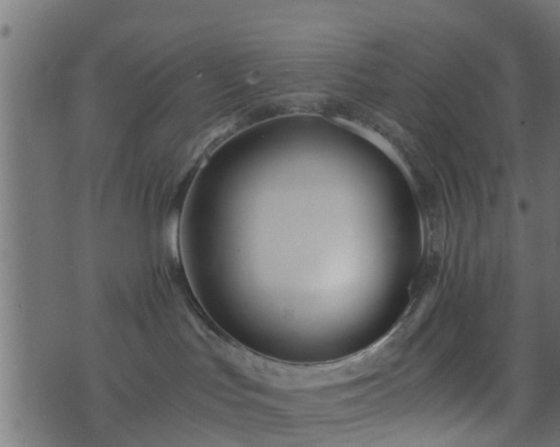 X0000073900047200608181010