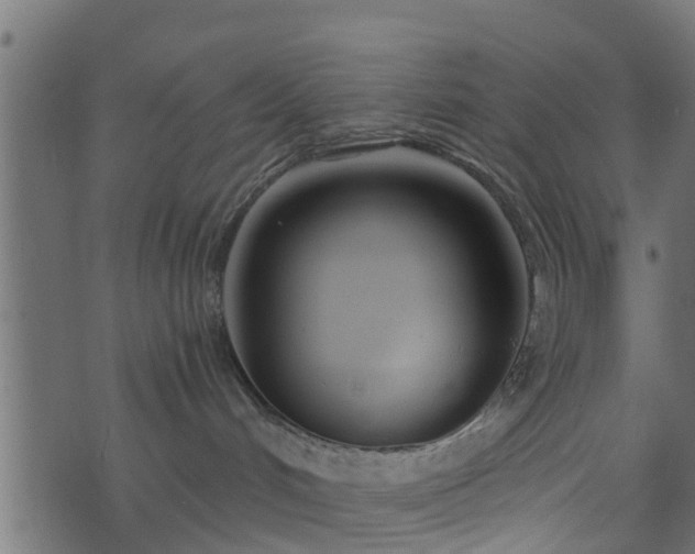 X0000073900048200608181010