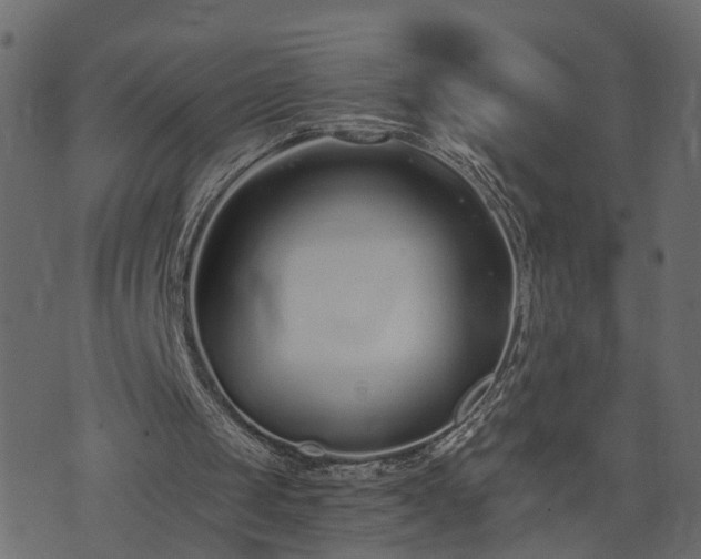 X0000073900049200608181009