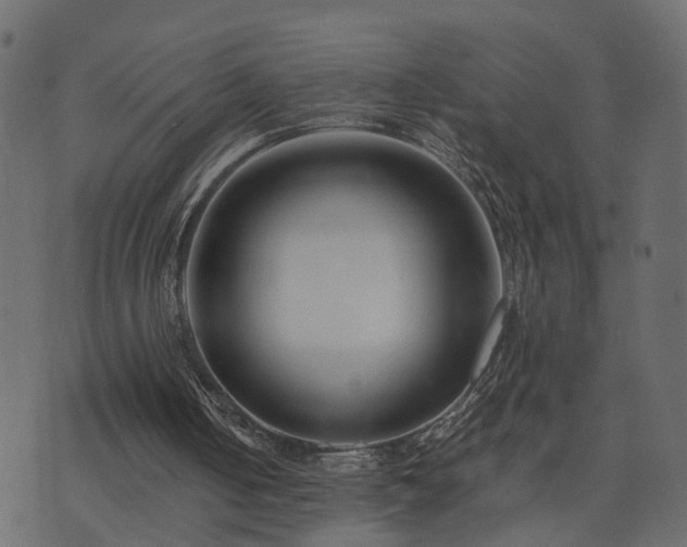 X0000073900050200608181009