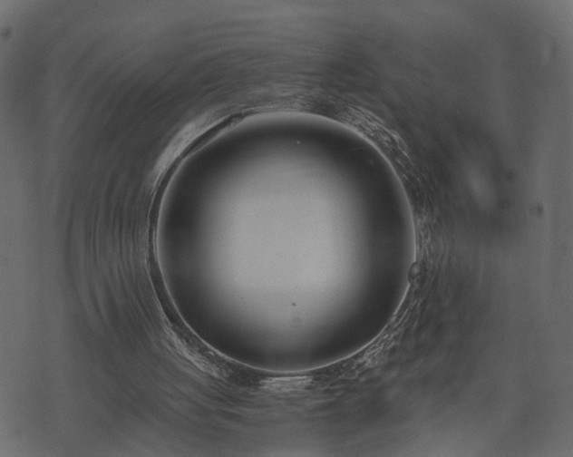 X0000073900051200608181009