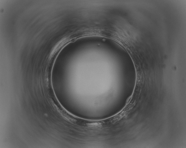 X0000073900053200608181009