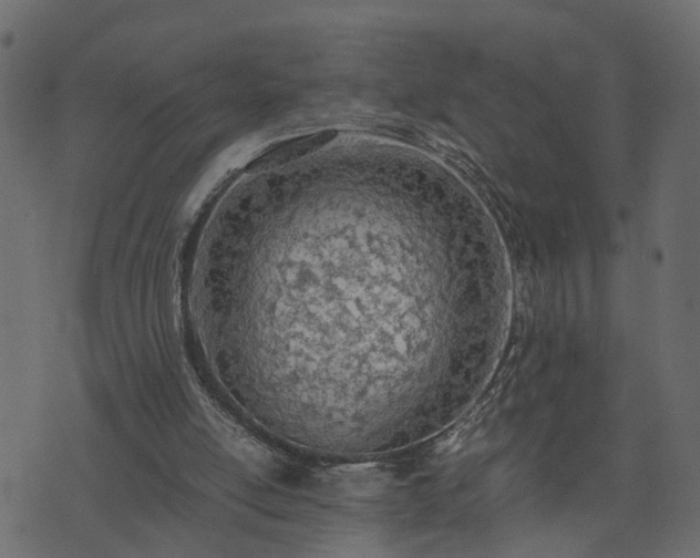 X0000073900054200608181009