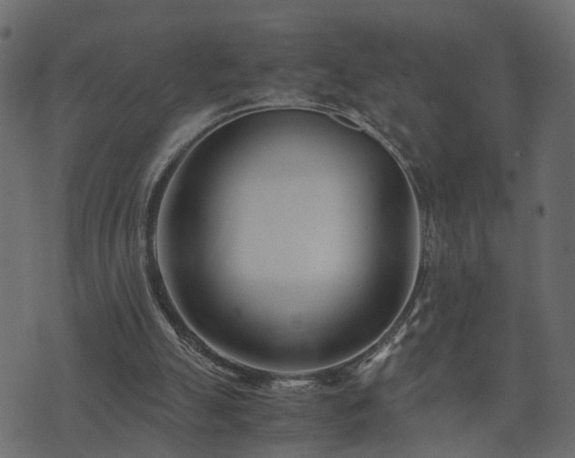 X0000073900055200608181009