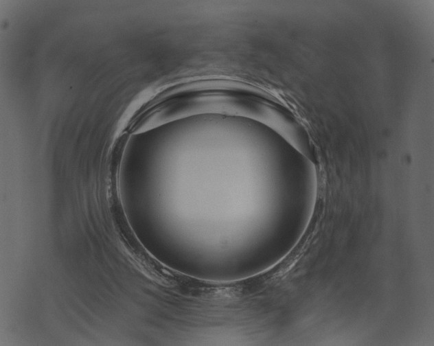 X0000073900056200608181009