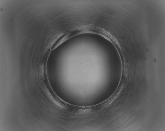 X0000073900057200608181009