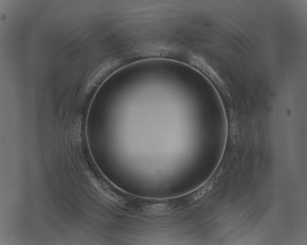 X0000073900058200608181009