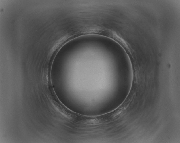 X0000073900059200608181009