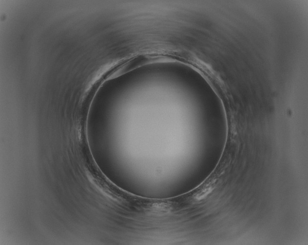 X0000073900060200608181009