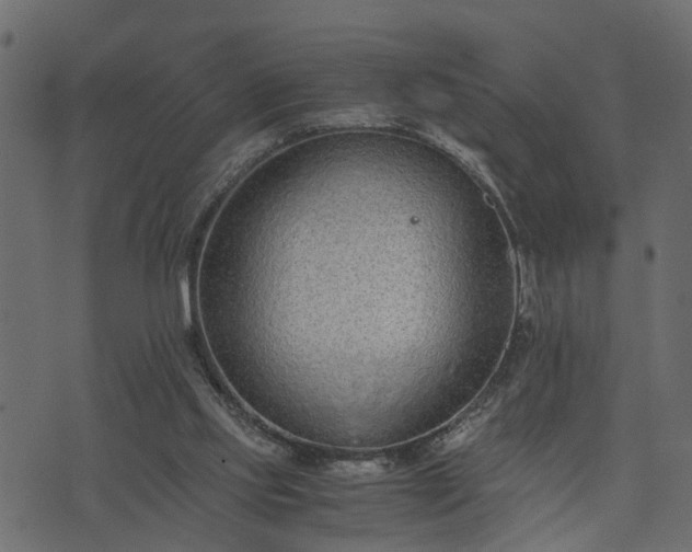 X0000073900061200608181009