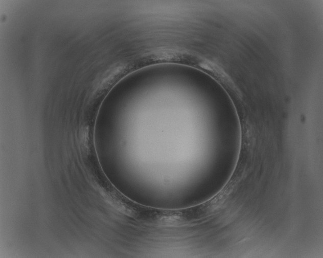 X0000073900066200608181009