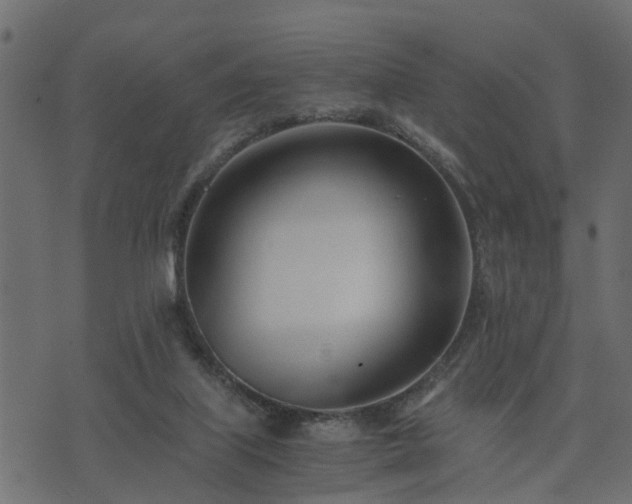 X0000073900067200608181009