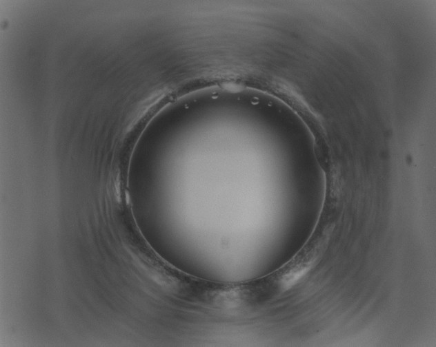 X0000073900068200608181009