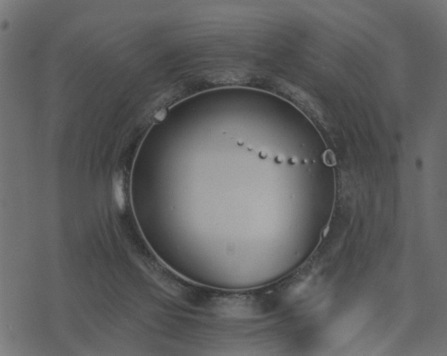 X0000073900069200608181009