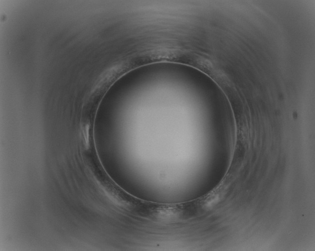 X0000073900070200608181009