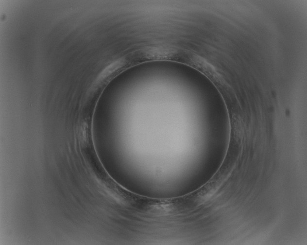 X0000073900071200608181009