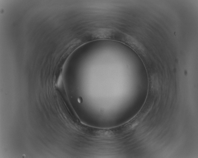 X0000073900073200608181009