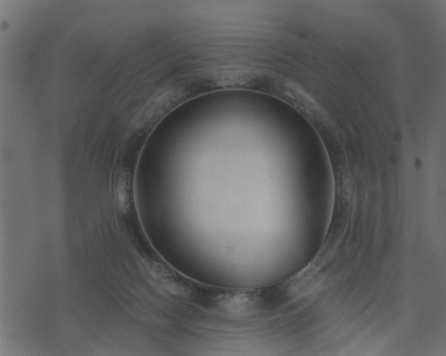 X0000073900074200608181009