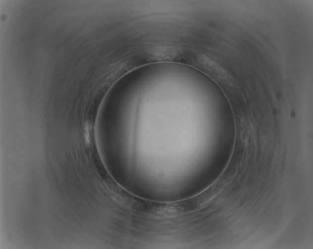 X0000073900075200608181009