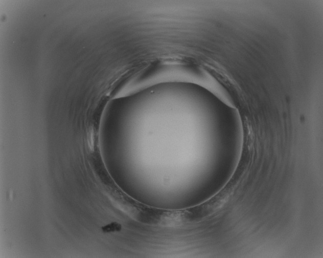 X0000073900076200608181009