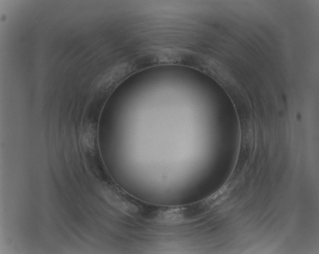 X0000073900078200608181009