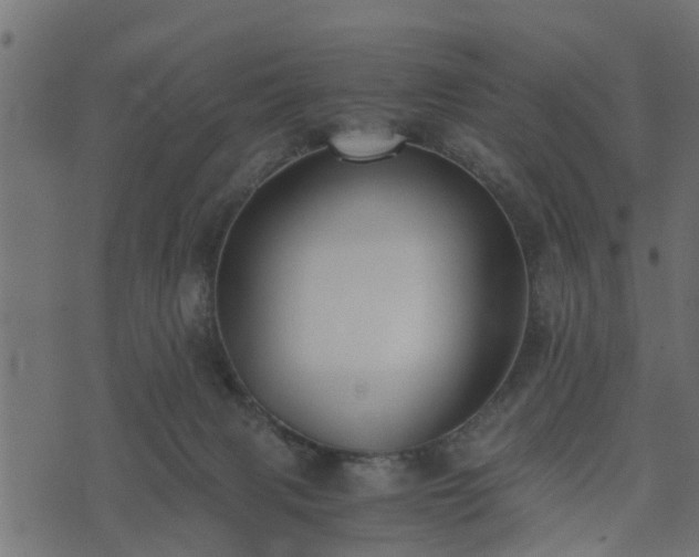 X0000073900079200608181009