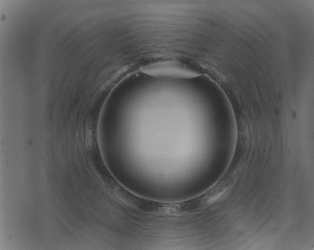 X0000073900080200608181009