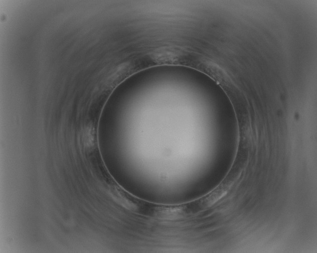 X0000073900081200608181009