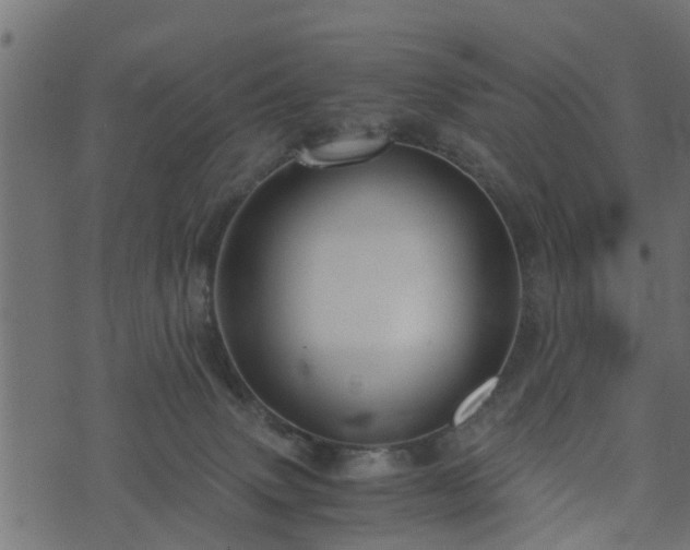 X0000073900083200608181009