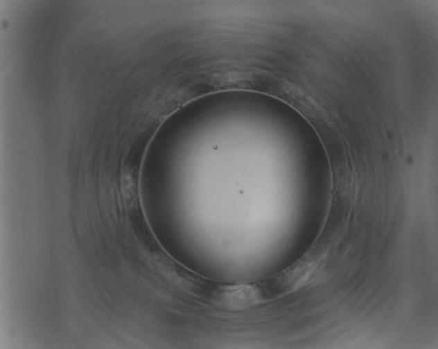 X0000073900087200608181009