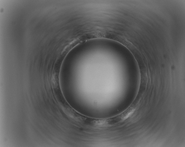 X0000073900088200608181009