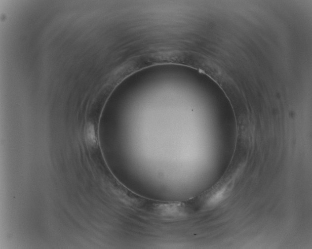 X0000073900089200608181009