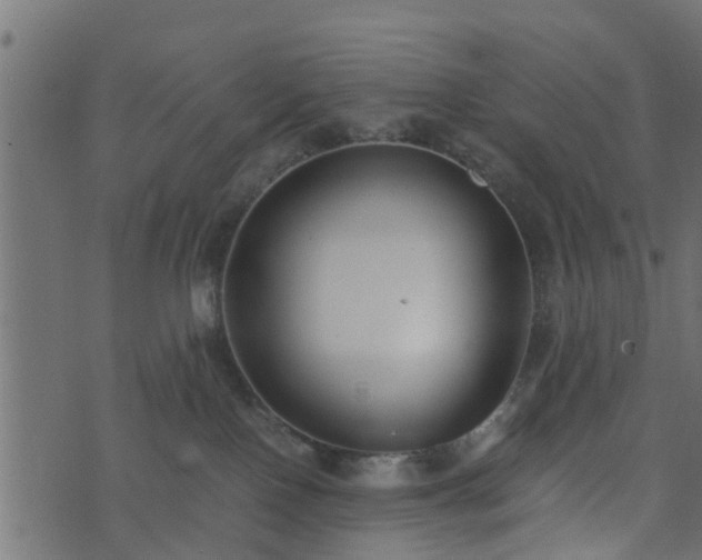 X0000073900090200608181009