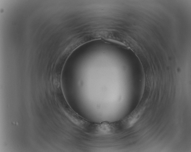 X0000073900091200608181009