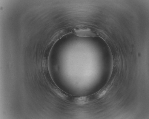 X0000073900092200608181009