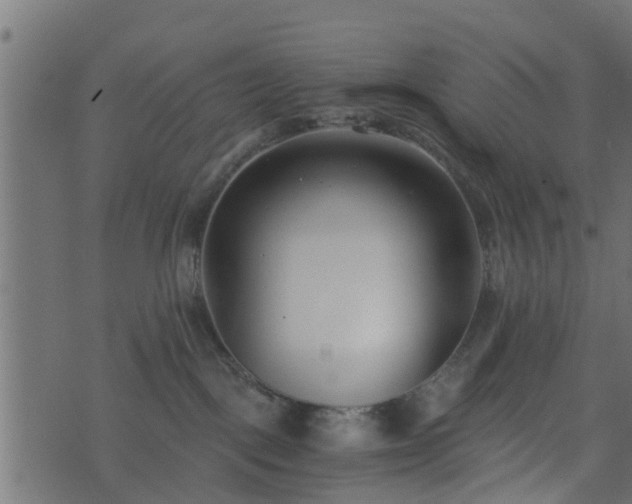 X0000073900093200608181010