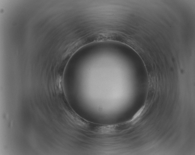 X0000073900094200608181010