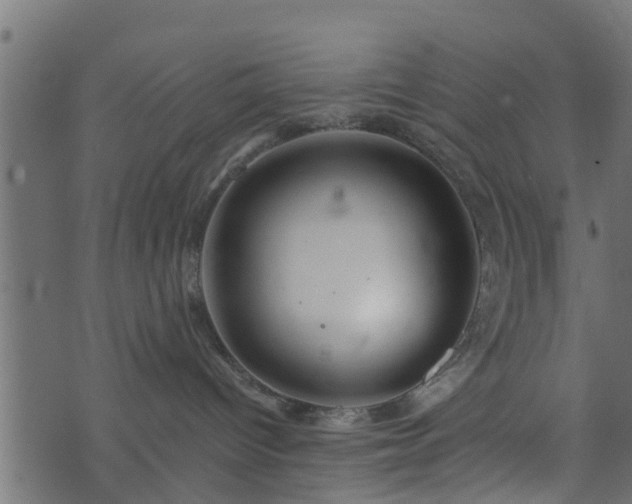 X0000073900096200608181010