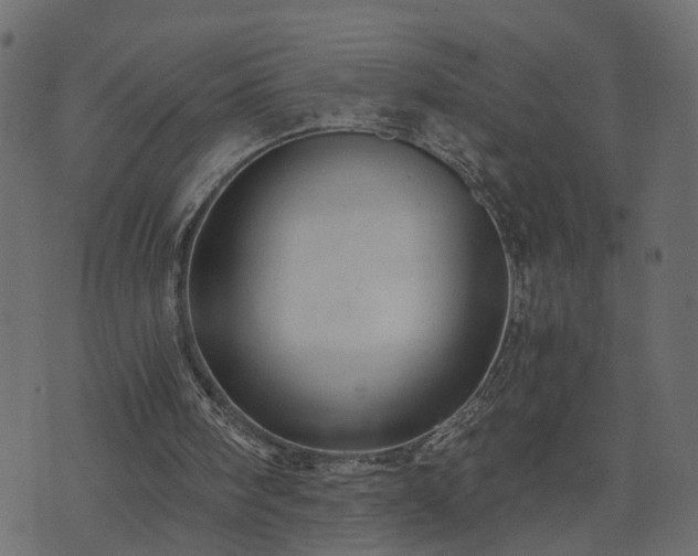 X0000073900098200608181009