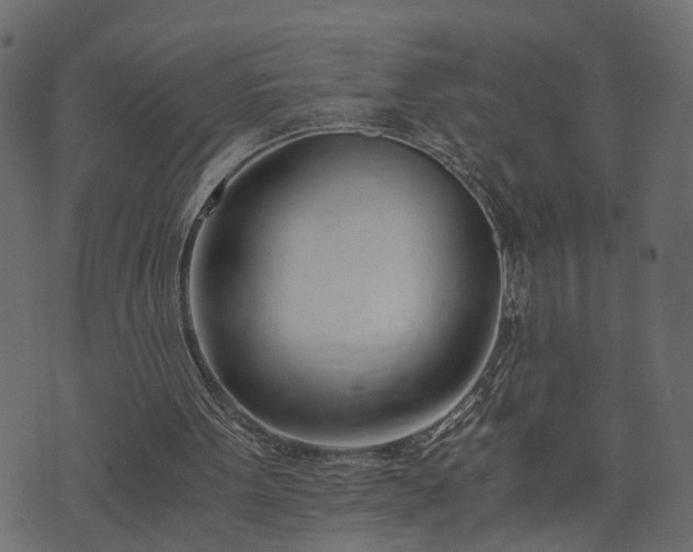 X0000073900099200608181009