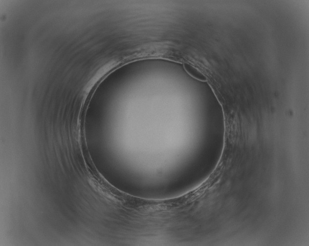 X0000073900100200608181009