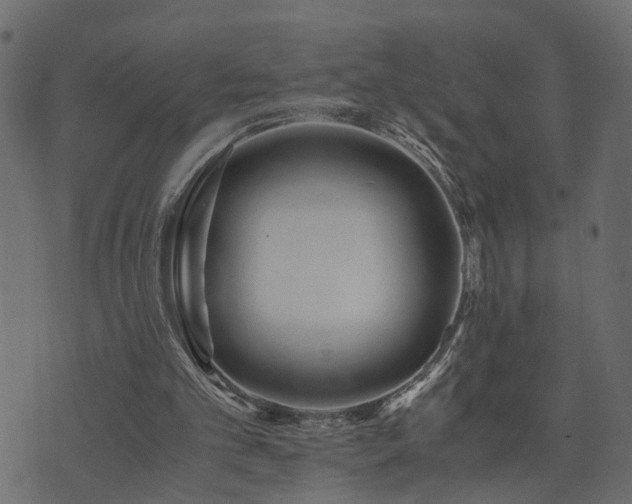 X0000073900101200608181009