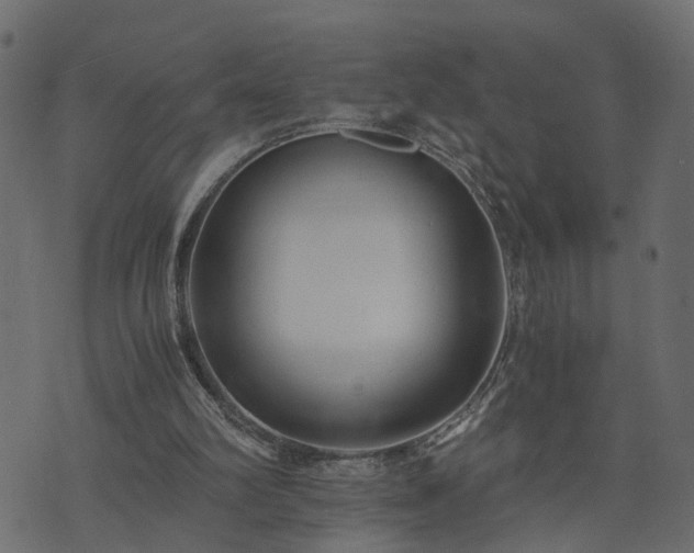 X0000073900102200608181009