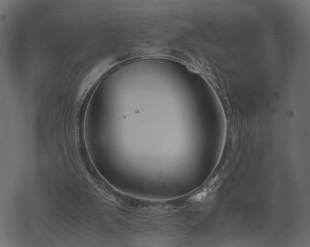 X0000073900103200608181009