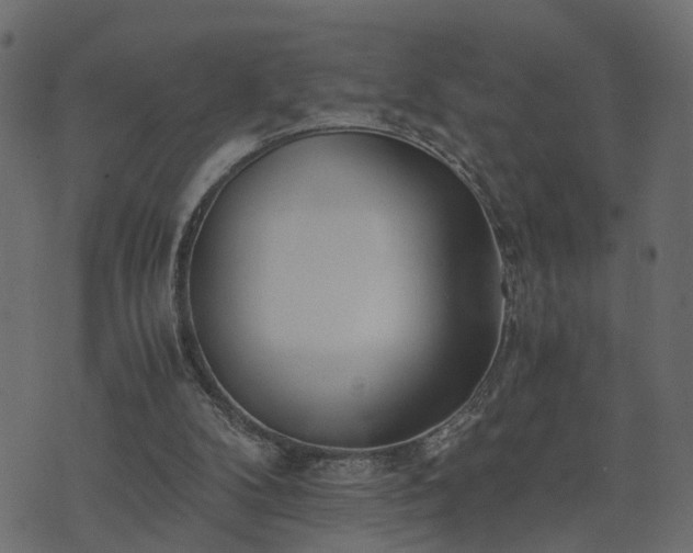 X0000073900104200608181009