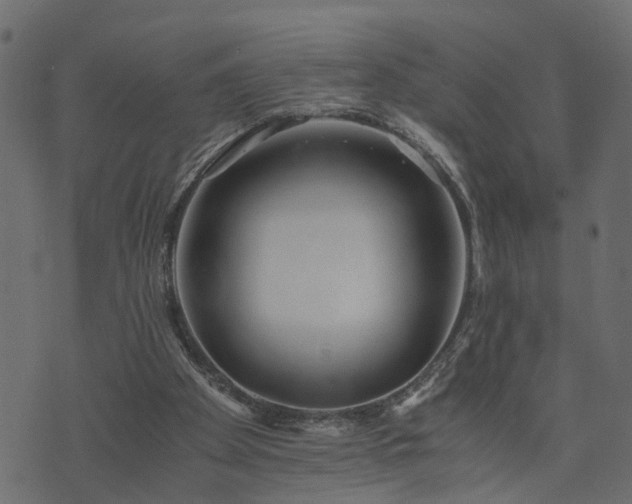 X0000073900105200608181009