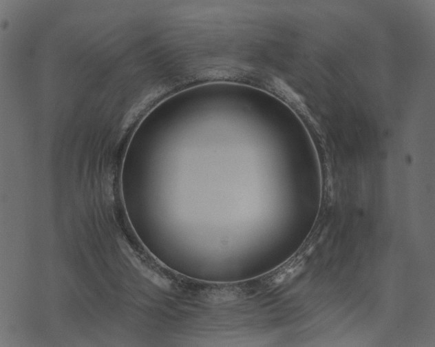 X0000073900106200608181009