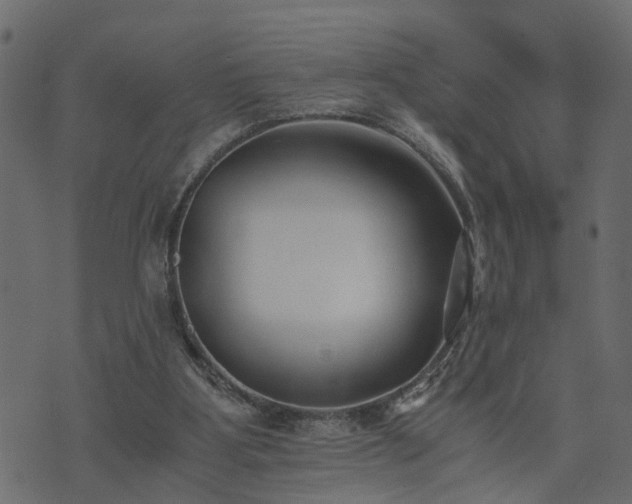 X0000073900107200608181009