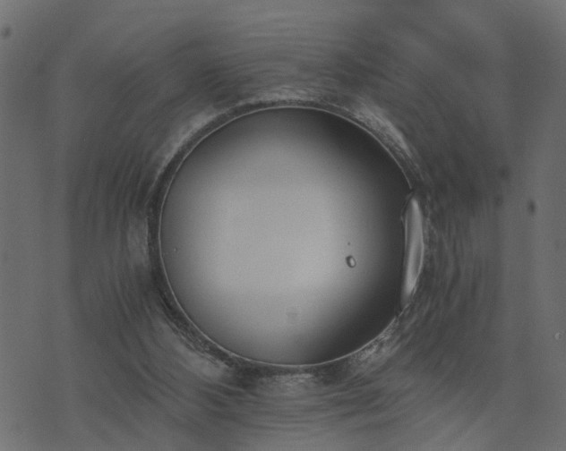 X0000073900108200608181009