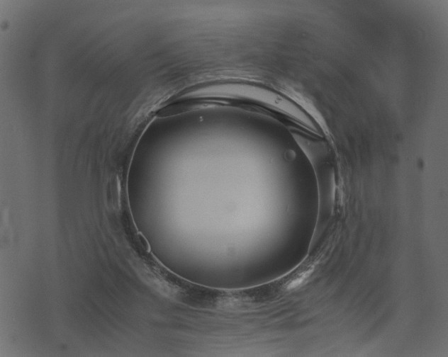 X0000073900109200608181009